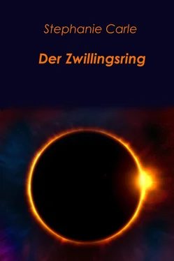 Stephanie Carle Der Zwillingsring обложка книги