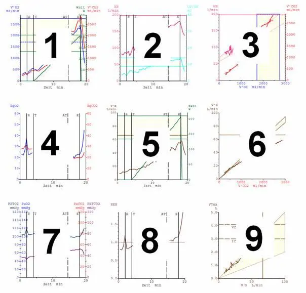 Numerische Auswertung Neben den direkt erhobenen Parametern kann eine Vielzahl - фото 2