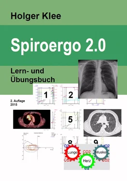 Holger Klee Spiroergo 2.0 обложка книги