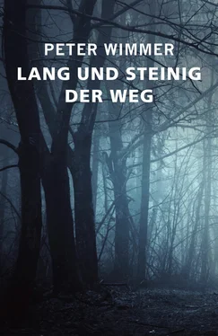 Peter Wimmer LANG UND STEINIG DER WEG обложка книги