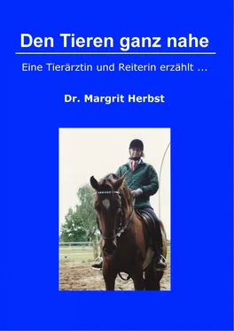 Dr. Margrit Herbst Den Tieren ganz nahe обложка книги