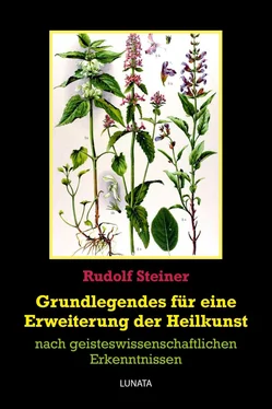 Rudolf Steiner Grundlegendes zur Erweiterung der Heilkunst обложка книги