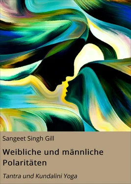 Sangeet Singh Gill Weibliche und männliche Polaritäten обложка книги