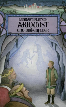 Lennart Pletsch Ariowist und Birkenfeuer обложка книги