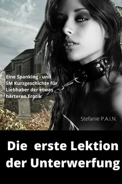 Stefanie P.A.I.N Die erste Lektion der Unterwerfung обложка книги