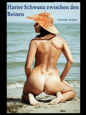 Christine Bohlen Harter Schwanz zwischen den Beinen обложка книги