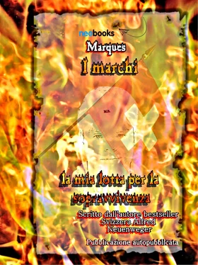 Alfred Neuenweger Marques I marchi обложка книги