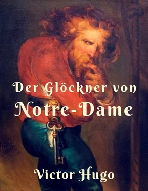 Victor Hugo Der Glöckner von Notre Dame обложка книги