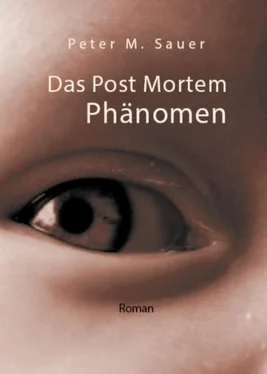 Peter M. Sauer Das Post Mortem Phänomen обложка книги