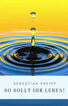 Sebastian Kneipp Sebastian Kneipp: So sollt Ihr leben! обложка книги