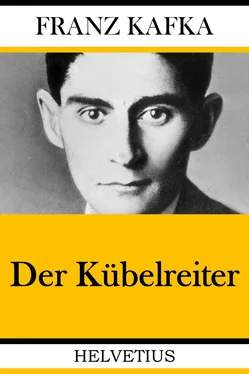 Franz Kafka Der Kübelreiter обложка книги