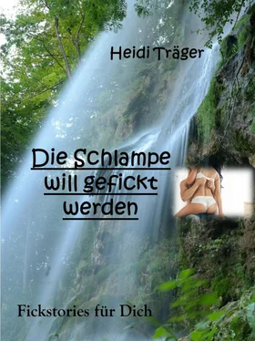 Heidi Träger Die Schlampe will gefickt werden обложка книги