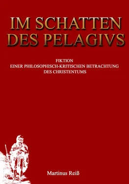 Martin Reiß Im Schatten des Pelagius обложка книги