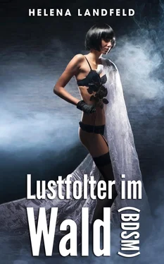 Helena Landfeld Lustfolter im Wald (BDSM) обложка книги