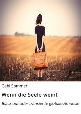 Gabi Sommer Wenn die Seele weint обложка книги