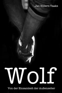 Jan-Hillern Taaks Wolf обложка книги