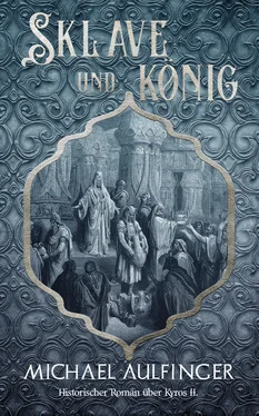Michael Aulfinger Sklave und König обложка книги