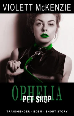 Violett McKenzie Ophelia - Pet Shop обложка книги