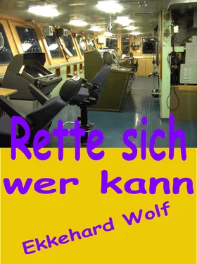 Ekkehard Wolf Rette sich, wer kann! обложка книги