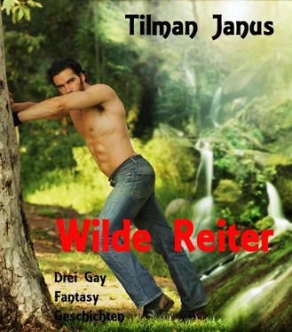 Tilman Janus Wilde Reiter обложка книги