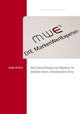 Manfred Enzlmüller Studie 2/2013: Die Entwicklung von Marken im Umfeld einer anhaltenden Krise обложка книги