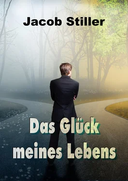 Jacob Stiller Das Glück meines Lebens обложка книги