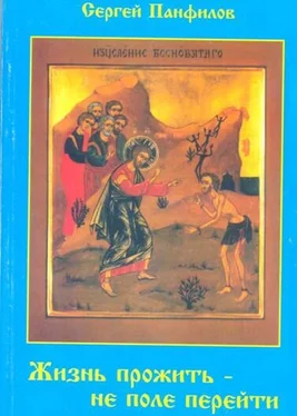 Сергей Панфилов Жизнь прожить – не поле перейти обложка книги