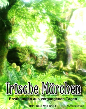 Gerard Carpenter Irische Märchen обложка книги
