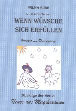 Wilma Burk Wenn Wünsche sich erfüllen 5. Geschichte обложка книги