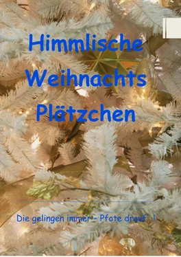 Christine Just Himmlische Weihnachts Plätzchen обложка книги