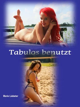 Marie Liebster Tabulos benutzt обложка книги