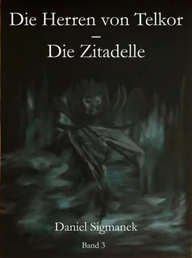 Daniel Sigmanek Die Zitadelle обложка книги