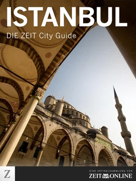 ZEIT ONLINE Istanbul обложка книги