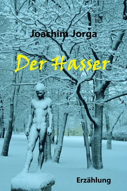 Joachim Jorga Der Hasser обложка книги