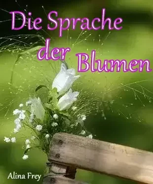 Alina Frey Die Sprache der Blumen обложка книги