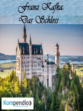 Alessandro Dallmann Das Schloss обложка книги