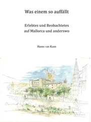 Hanns van Kann - Was einem so auffällt
