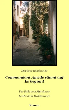 Stephane Rambicourt Commandant Amédé räumt auf - Es beginnt обложка книги