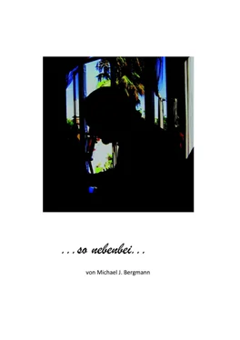 Michael J. Bergmann Mein Buch обложка книги