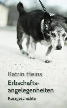 Katrin Heins Erbschaftsangelegenheiten обложка книги