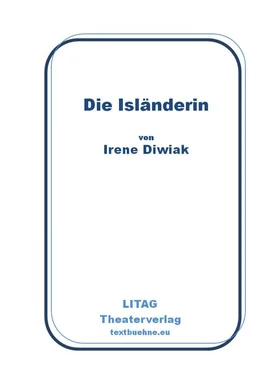 Irene Diwiak Die Isländerin обложка книги