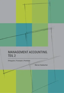 Werner Seebacher Management Accounting. Teil 2 – Erfolgsplan, Finanzplan, Planbilanz обложка книги