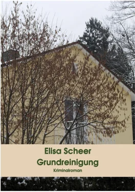 Elisa Scheer Grundreinigung обложка книги