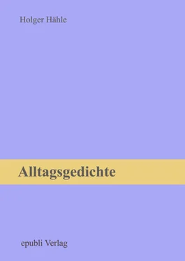 Holger Hähle Alltagsgedichte обложка книги