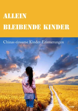 Yanzi LI allein bleibende Kinder обложка книги