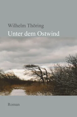 Wilhelm Thöring Unter dem Ostwind обложка книги