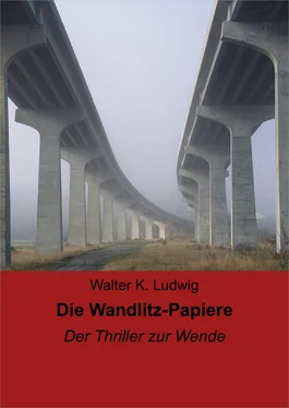 Walter K. Ludwig Die Wandlitz-Papiere обложка книги