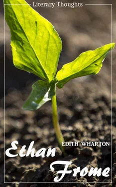 Edith Wharton Ethan Frome (Edith Wharton) - illustrated - (Literary Thoughts Edition) обложка книги