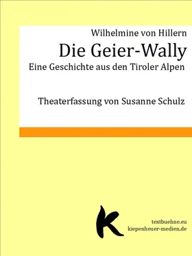 Wilhelmine von Hillern Die Geier-Wally обложка книги