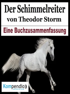 Alessandro Dallmann Der Schimmelreiter von Theodor Storm обложка книги